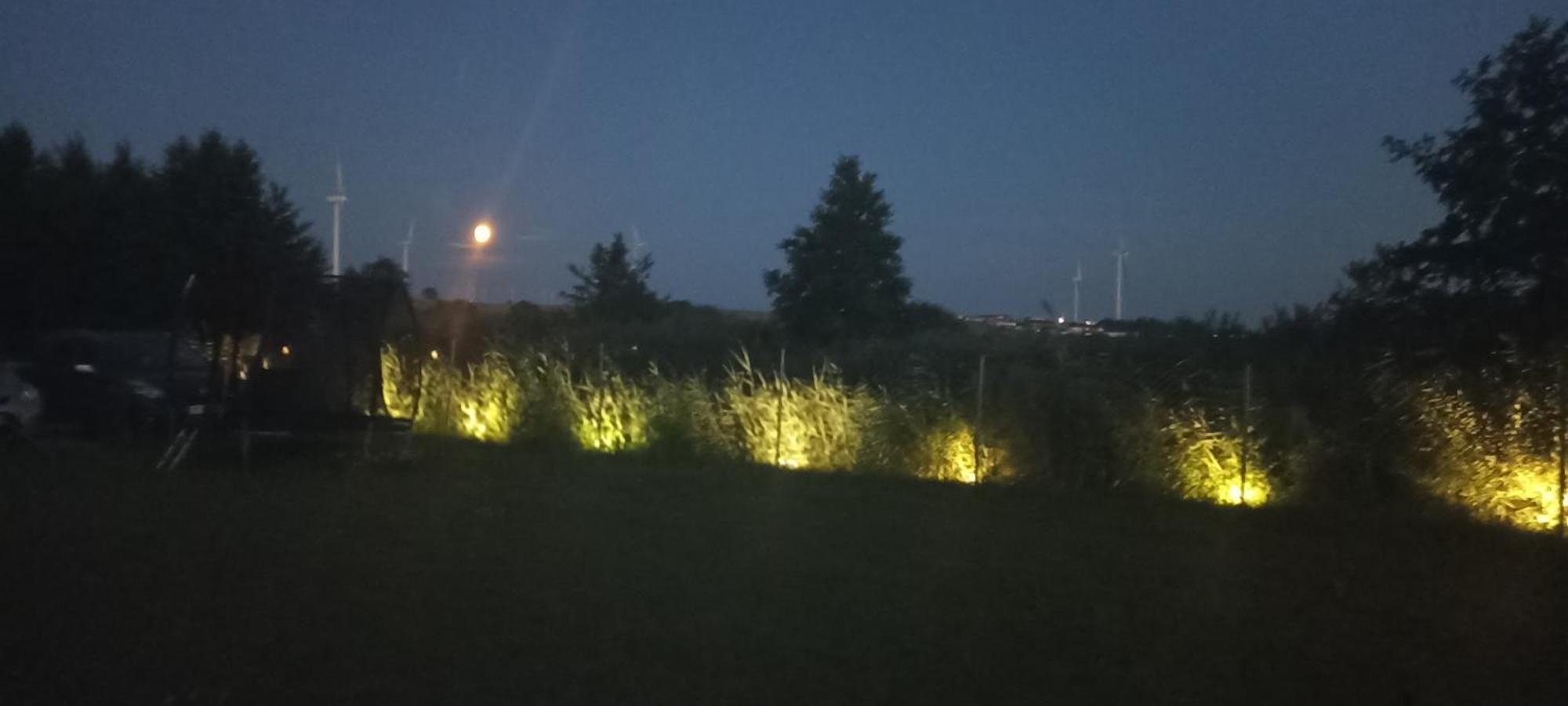 Domki Alfa Kopań Eksteriør bilde
